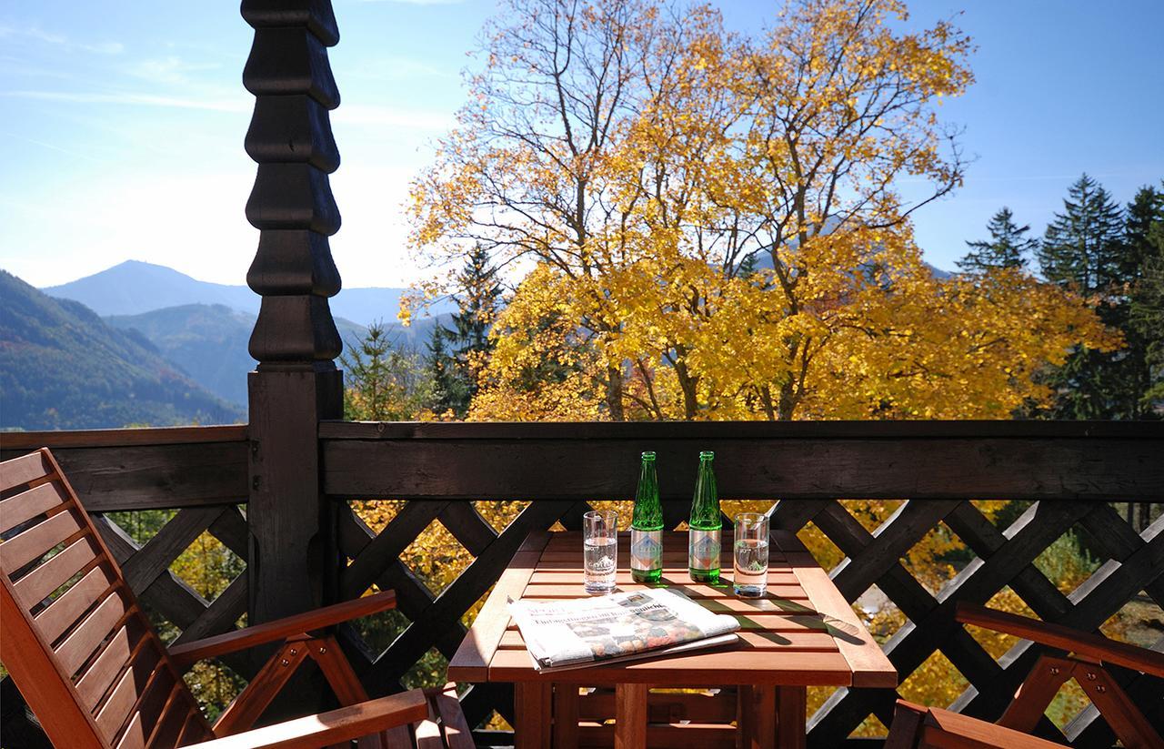 Alpenhotel Goesing Puchenstuben エクステリア 写真
