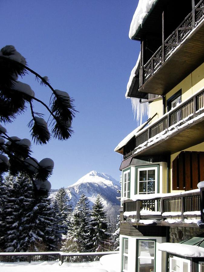 Alpenhotel Goesing Puchenstuben エクステリア 写真